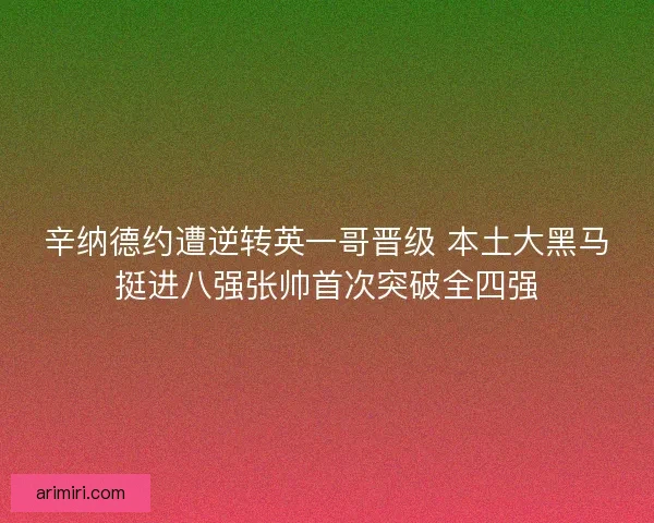辛纳德约遭逆转英一哥晋级 本土大黑马挺进八强张帅首次突破全四强