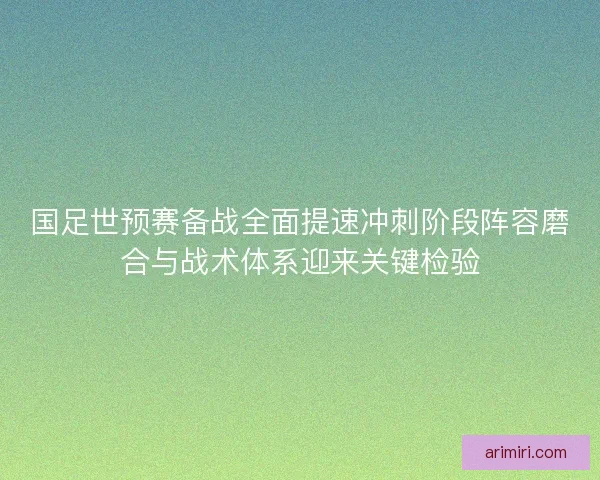 国足世预赛备战全面提速冲刺阶段阵容磨合与战术体系迎来关键检验